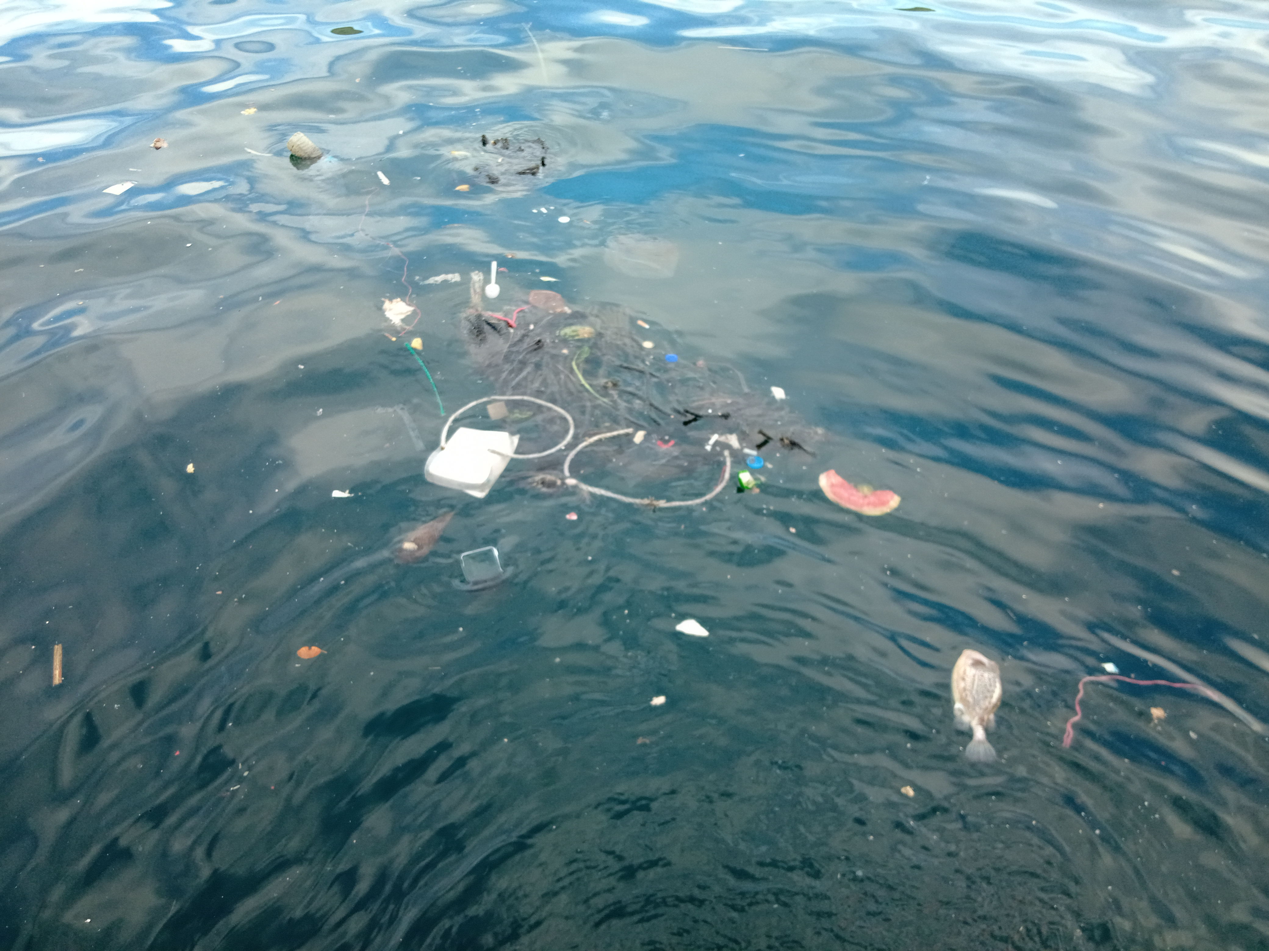 ▲▼黑潮公布台灣沿海塑膠微粒污染現況調查結果。（圖／黑潮海洋文教基金會提供）