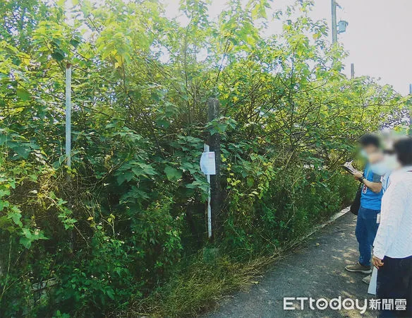 ▲執行署屏東分署將拍賣殺狗的陳姓義務人繼承土地           。（圖／執行署屏東分署提供，以下同）