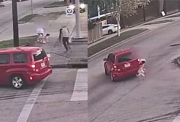 過馬路突然遭持槍男搶劫！　長腿妹緊抓車門不放...和愛犬慘被拖行。（圖／翻攝自Twitter／Houston Police Robbery）