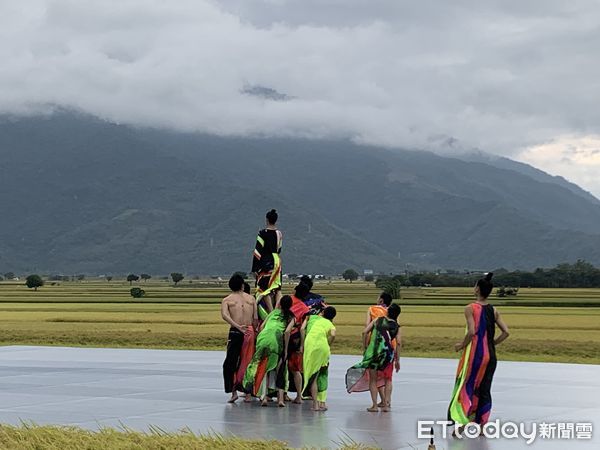 ▲▼2021「池上秋收稻穗藝術節」由雲門舞集和9m88首度跨界合作，登上這座「無法複製的舞台」，在花東縱谷、天光、金黃稻穗、燕群飛舞包圍下共舞。（圖／記者林育綾攝）