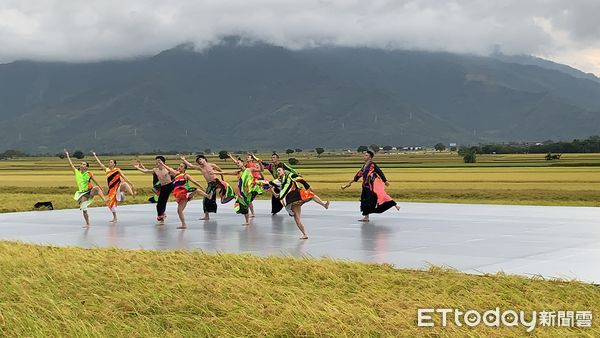 ▲▼2021「池上秋收稻穗藝術節」由雲門舞集和9m88首度跨界合作，登上這座「無法複製的舞台」，在花東縱谷、天光、金黃稻穗、燕群飛舞包圍下共舞。（圖／記者林育綾攝）