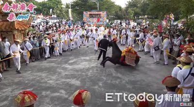 東港迎王祭「王馬」繞圈失蹄摔倒　奮力爬起群眾擔心驚呼