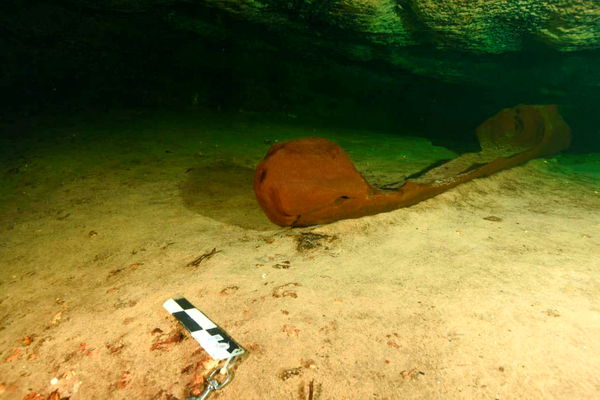 ▲墨西哥猶加敦半島發現一艘距今1191年的獨木舟。（圖／路透社）