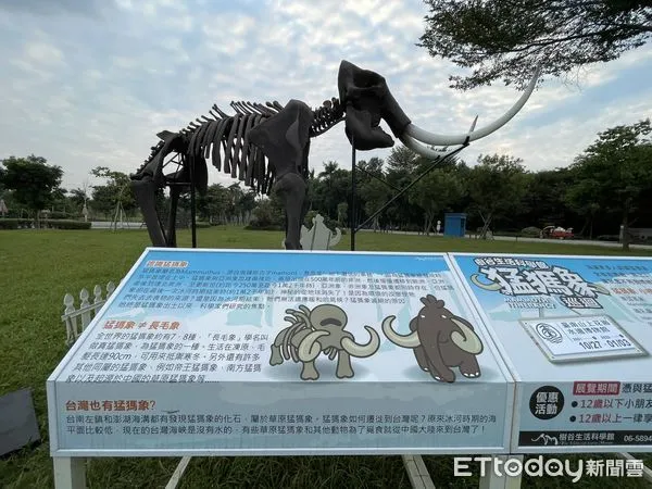 ▲台南山上花園水道博物館，和樹谷生活科學館合作推出俗稱長毛象的「猛瑪象」骨骼化石複製品巡迴展，歡迎民眾到場一遊。（圖／記者林悅翻攝，下同）