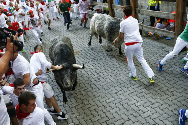 ▲▼西班牙北部的潘普洛納（Pamplona）於2017年7月舉行奔牛節。（圖／達志影像／美聯社）