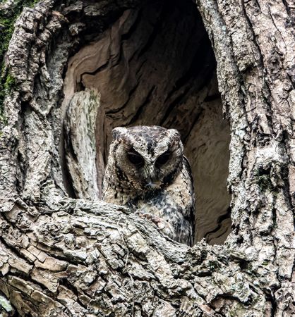 ▲▼王滿嬌罹病不能站立。（圖／翻攝自臉書／王滿嬌）