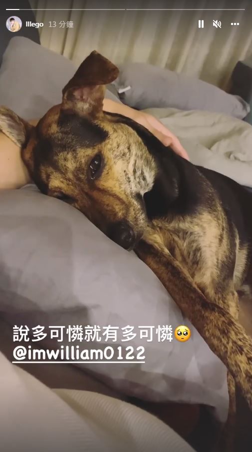 ▲李國毅愛犬跟女兒吃醋。（圖／翻攝自Instagram／lllego）