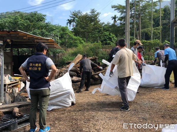 ▲保七總隊在南投縣水里郊區工廠查獲湯姓業者非法收購漂流檜木。（圖／記者張君豪翻攝）