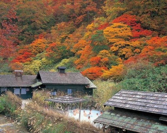▲▼網友最愛的日本10大楓葉景點。（圖／旅奇傳媒提供）