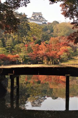 ▲▼網友最愛的日本10大楓葉景點。（圖／旅奇傳媒提供）