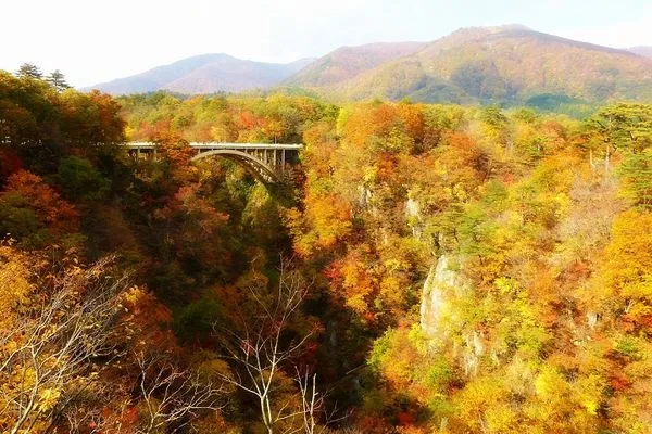 ▲▼網友最愛的日本10大楓葉景點。（圖／旅奇傳媒提供）