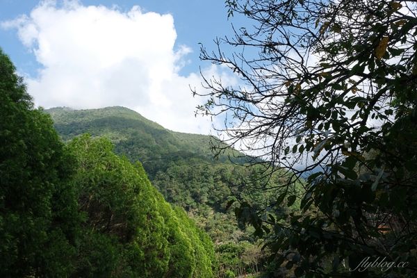 ▲▼八仙山國家森林遊樂區。（圖／飛天璇的口袋提供）