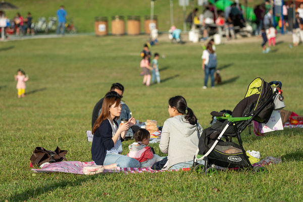 ▲▼ 使照，家戶數, 樓地板面積。（圖／記者陳筱惠攝）