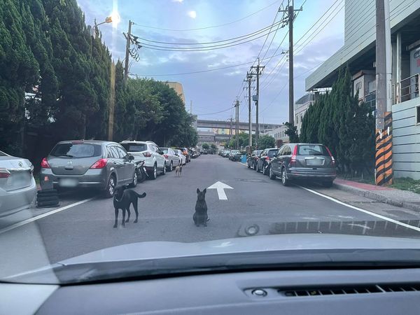 ▲▼開車遇到黑勢力路霸。（圖／有點毛毛的／網友劉美榮提供）