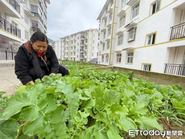 ▲▼ 湖北宣恩縣松坪易地扶貧搬遷集中安置點、2021、           。（圖／記者任以芳攝）