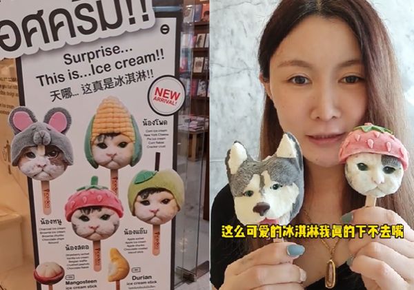 萌翻的「貓狗冰棒」捨得吃嗎？　逼真細節北京網紅：下不去嘴！ | ETto