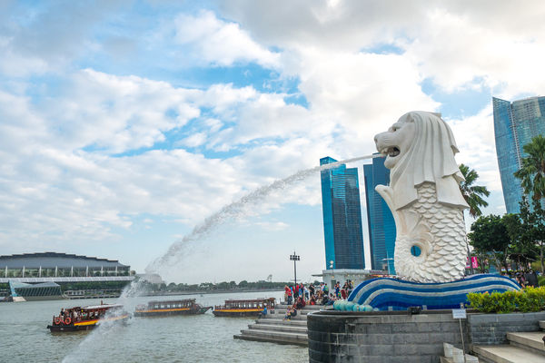 ▲新加坡,金門2022初日號迎曙光包船,武陵農場。（圖／雄獅旅遊提供）