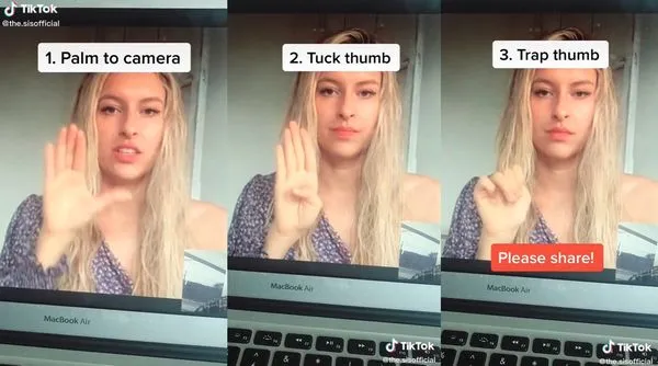 ▲▼求救手勢。（圖／翻攝自TikTok／the.sisofficial）