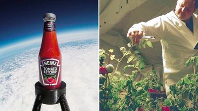 模擬「火星土壤」種出來的番茄！醬料巨頭亨氏栽種9個月　推出太空版番茄醬