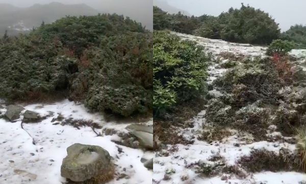 ▲▼雪山下雪了。（圖／雪霸國家公園管理處提供）