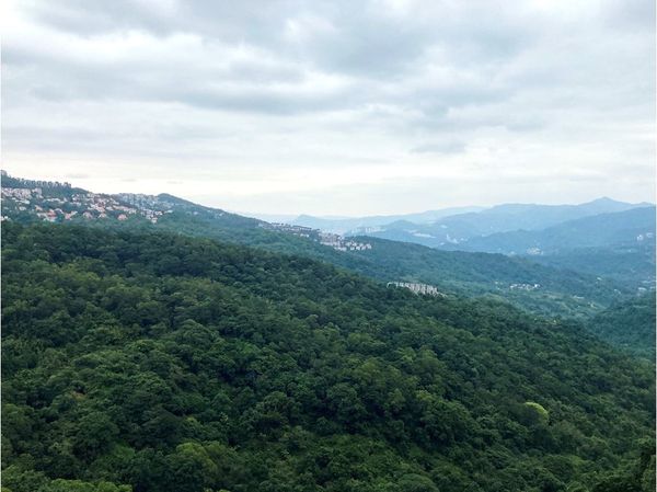 ▲▼ 新店區秀岡段萬坪住土地            。（圖／記者林裕豐攝）