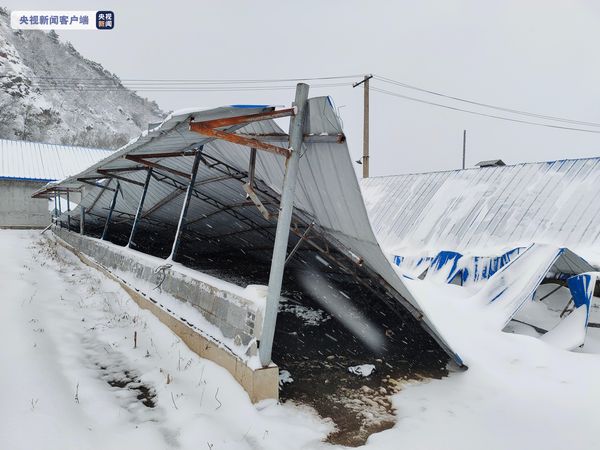 ▲▼遼寧連日暴雪　已造成640萬隻禽畜死亡。（圖／翻攝CCTV）