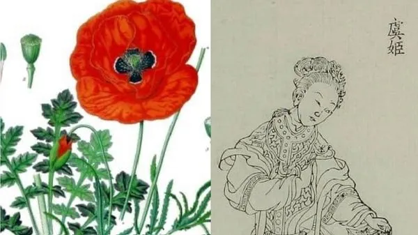 ▲▼張競-1111「退伍軍人節」。（圖／翻攝自Facebook／張競）