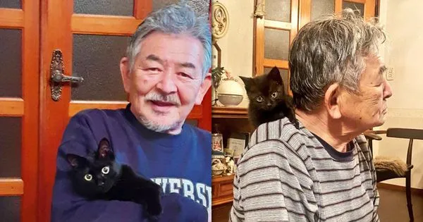 日本有位網友的爸爸，半年多前救回一隻小黑貓，他拍下成為貓奴後的爸爸（左圖）對比半年前的樣子（右圖），驚呼爸爸變年輕了。（圖片翻攝推特＠turi2018）