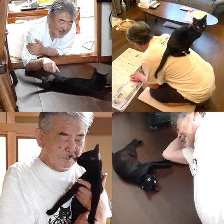 原PO經常在推特分享爸爸與黑貓RURU的可愛日常，笑稱通常是寵物會越來越像飼主，但爸爸卻是逐漸貓化。（圖片翻攝推特@ turi2018）