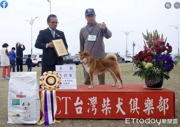 ▲陳姓死者被稱為「一世柴人」，從年輕開始就做培育柴犬工作             。（圖／翻攝當事人臉書）