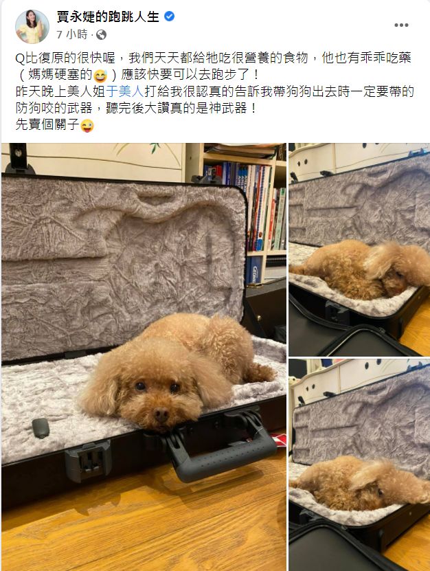 ▲▼愛犬被咬出4血洞…　賈永婕公布「防狗咬神器」。（圖／翻攝自Facebook／賈永婕的跑跳人生）