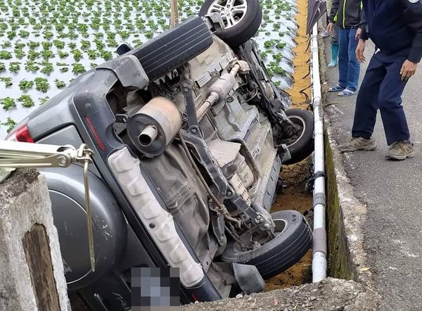 ▲草莓田一天掉一輛車！　通過大湖這條小徑「比考駕照還難」。（圖／翻攝黃惠琴臉書）