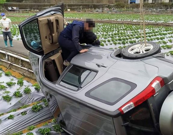 ▲草莓田一天掉一輛車！　通過大湖這條小徑「比考駕照還難」。（圖／翻攝黃惠琴臉書）