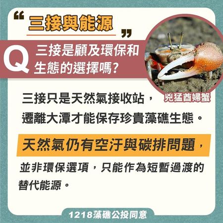 ▲▼藻礁公投QA。（圖／台灣民間反瘦肉精毒豬提供）