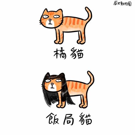 苦苓／我所知道的飯局妹