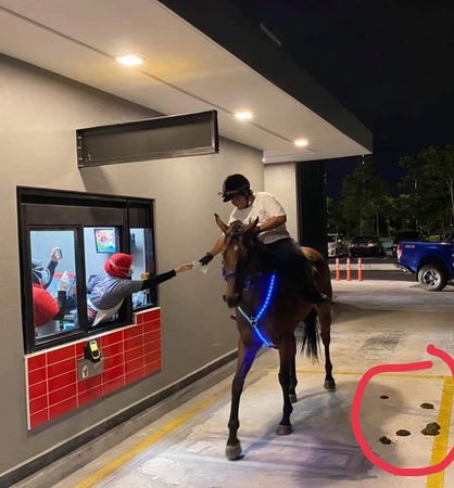 ▲▼馬來西亞有民眾騎馬去得來速買麥當勞。（圖／翻攝自Facebook／3S Equestrian Cyberjaya）