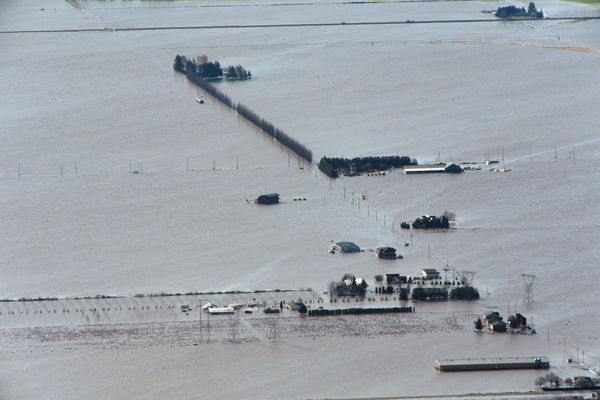▲▼加拿大2天內降下1個月的雨量，卑詩省遭洪水襲擊。（圖／路透社）
