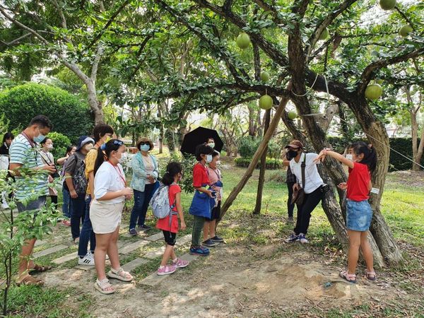 ▲▼      「發現‧永靖小旅行」 搶先體驗永靖謝平安　搓平安圓       。（圖／頂新提供）