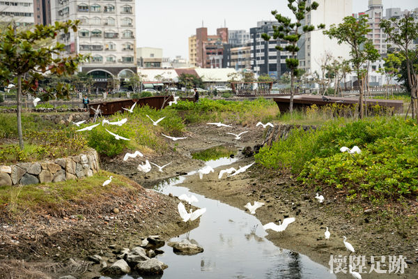 ▲▼大涼生態公園。（圖／懷陞足跡授權提供，下同，請勿隨意翻攝以免侵權）