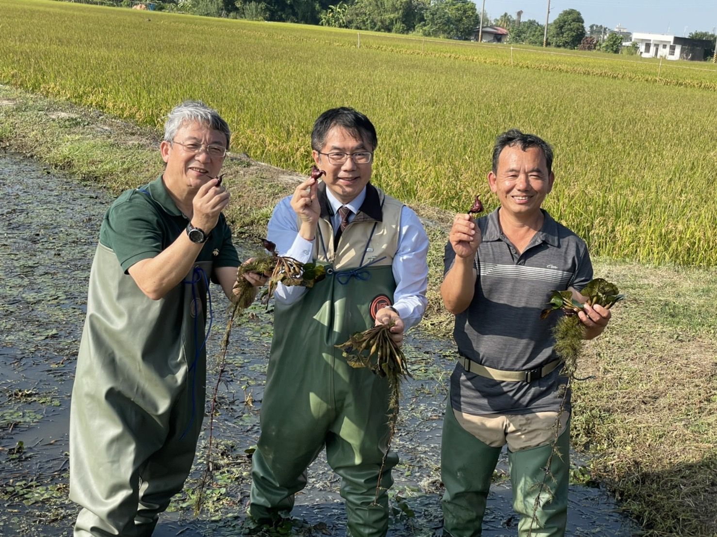 全國300家全聯門市販賣官田菱雉菱商品 黃偉哲 歡迎全聯加入水雉保育行列 Ettoday生活新聞 Ettoday新聞雲