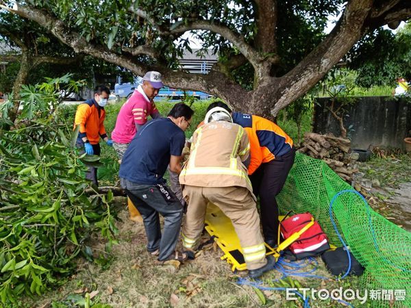 ▲台南市東山區1名69歲李姓男子，20日上午架梯在鋸龍眼樹枝時，疑不慎摔下趴倒在地，消防人員到場發現李男已無生命跡象，馬上施以CPR急救，以救護車送醫急救。（圖／記者林悅翻攝）