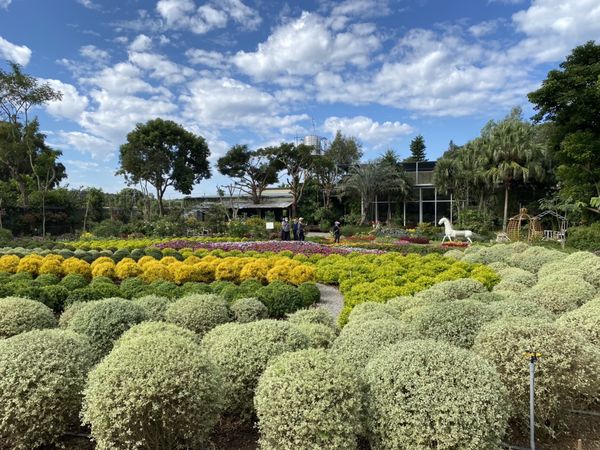 ▲▼花露農場波波草花園。（圖／花露農場提供）