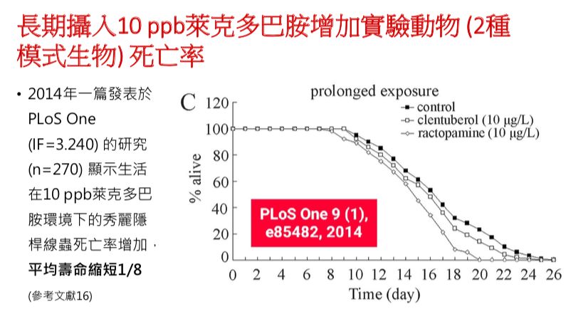 ▲▼長期攝入乙型受體素增加死亡率，萊克多巴胺就是其中一種。（圖／翻攝自邱守苕提供之簡報）