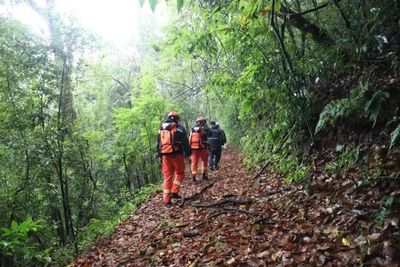 4地質員離奇遇難　神秘哀牢山最高峰3166公尺...走0.5公里要2小時