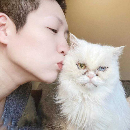 養了15年的愛貓VV在4月過世，讓王若涵不捨落淚。（圖／翻攝自王若涵臉書）