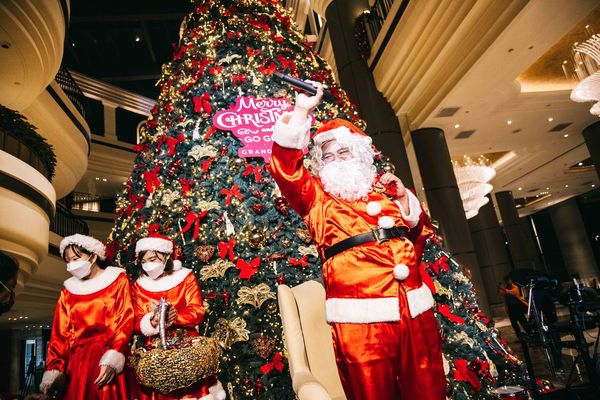 ▲台北君悅酒店率先點亮10米高聖誕樹。（圖／台北君悅酒店提供）