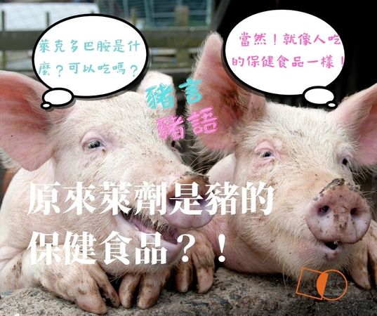 「萊劑是豬的保健食品？」　親民黨批陳吉仲「護萊豬金句」不倫不類 | ET