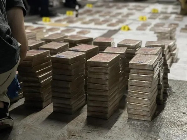 檢警日前起出「雙獅地球牌」海洛因磚1172塊，總重約447公斤。（警方提供）