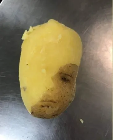 ▲▼             。（圖／翻攝自《爆廢公社二館》）