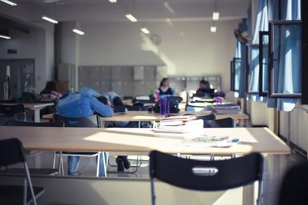 ▲▼自習室，圖書館。（圖／取自免費圖庫pixabay）